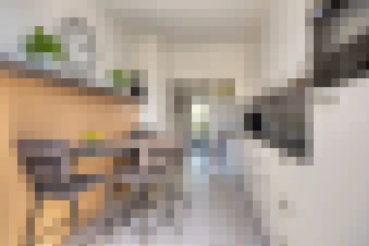 Willem Barentszlaan 11 Gouda thumbnail 9