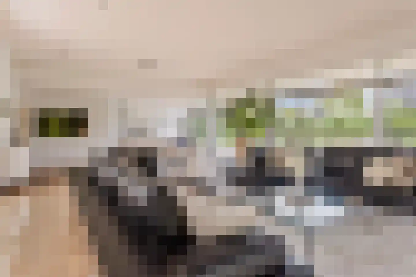 Willem Barentszlaan 12 Hulst thumbnail 10