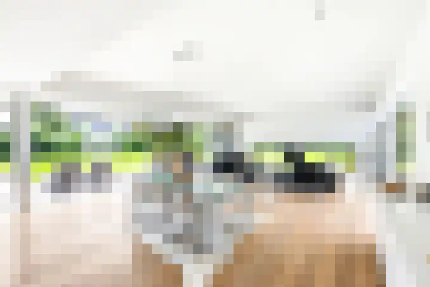 Willem Barentszlaan 12 Hulst thumbnail 10