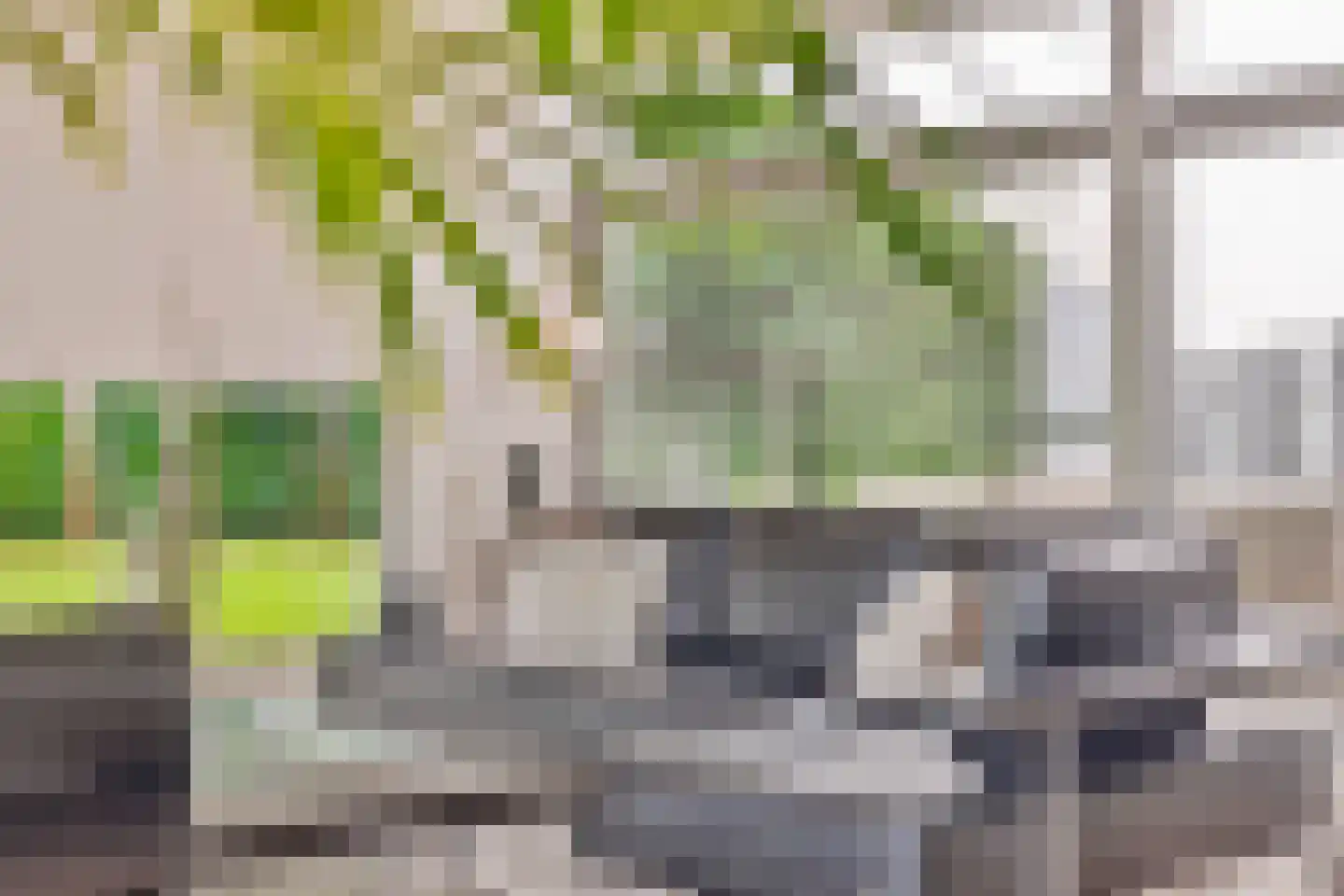 Willem Barentszlaan 12 Hulst thumbnail 11