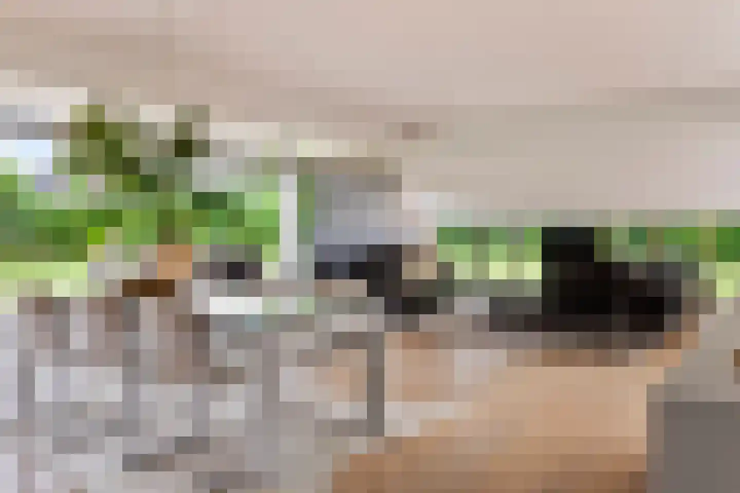 Willem Barentszlaan 12 Hulst thumbnail 12