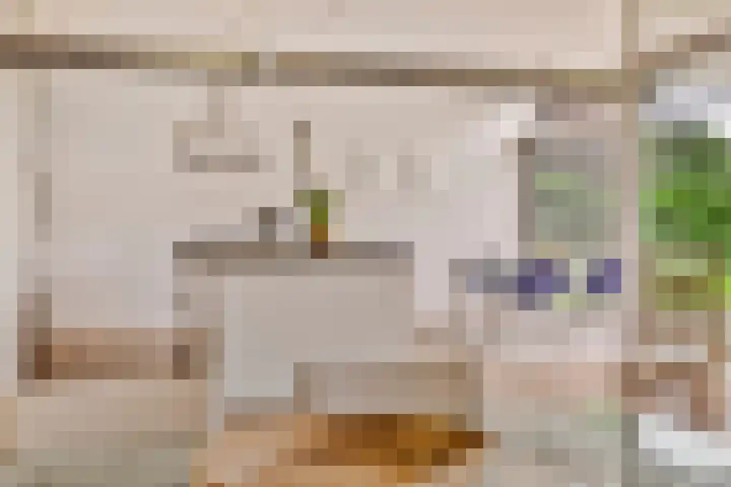 Willem Barentszlaan 12 Hulst thumbnail 14