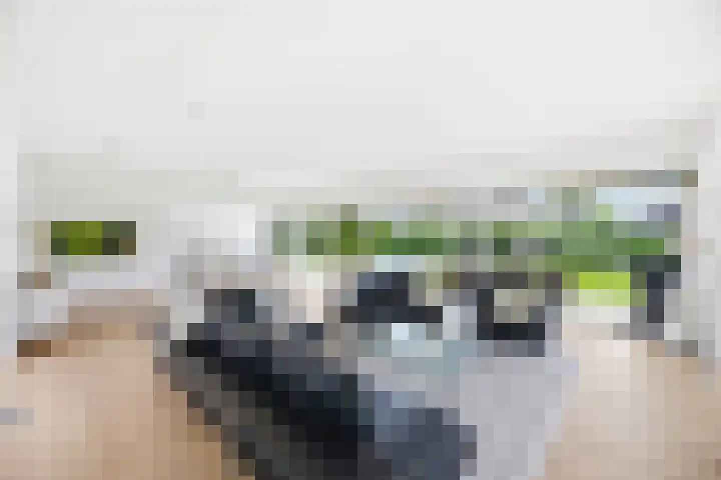 Willem Barentszlaan 12 Hulst thumbnail 15