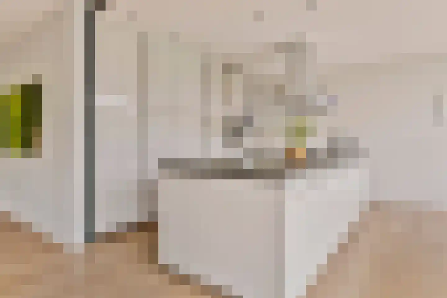 Willem Barentszlaan 12 Hulst thumbnail 15