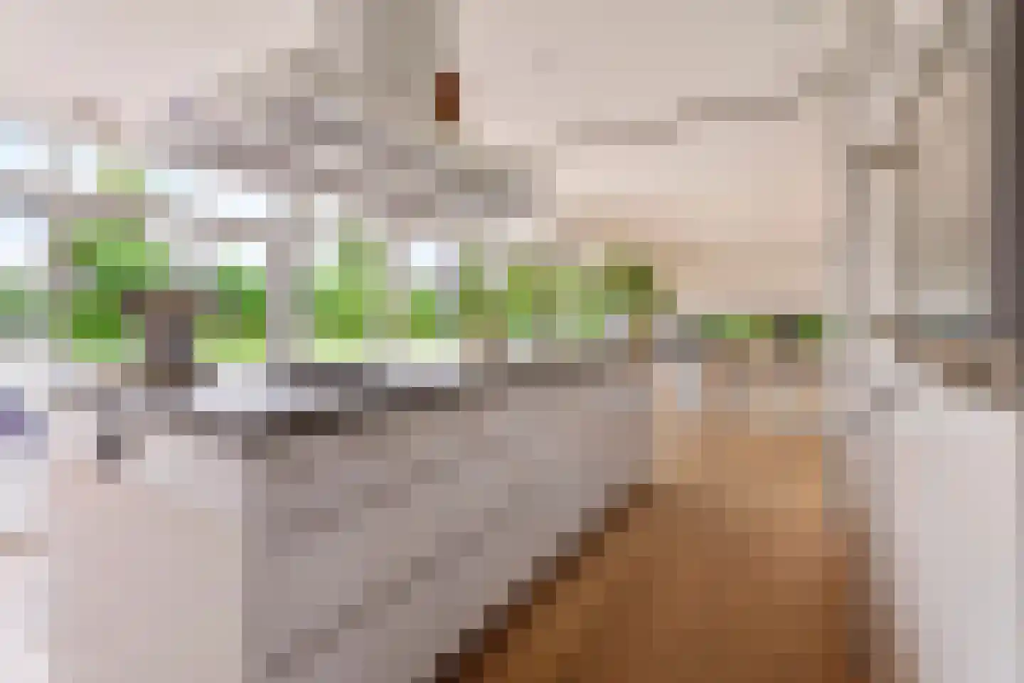 Willem Barentszlaan 12 Hulst thumbnail 16