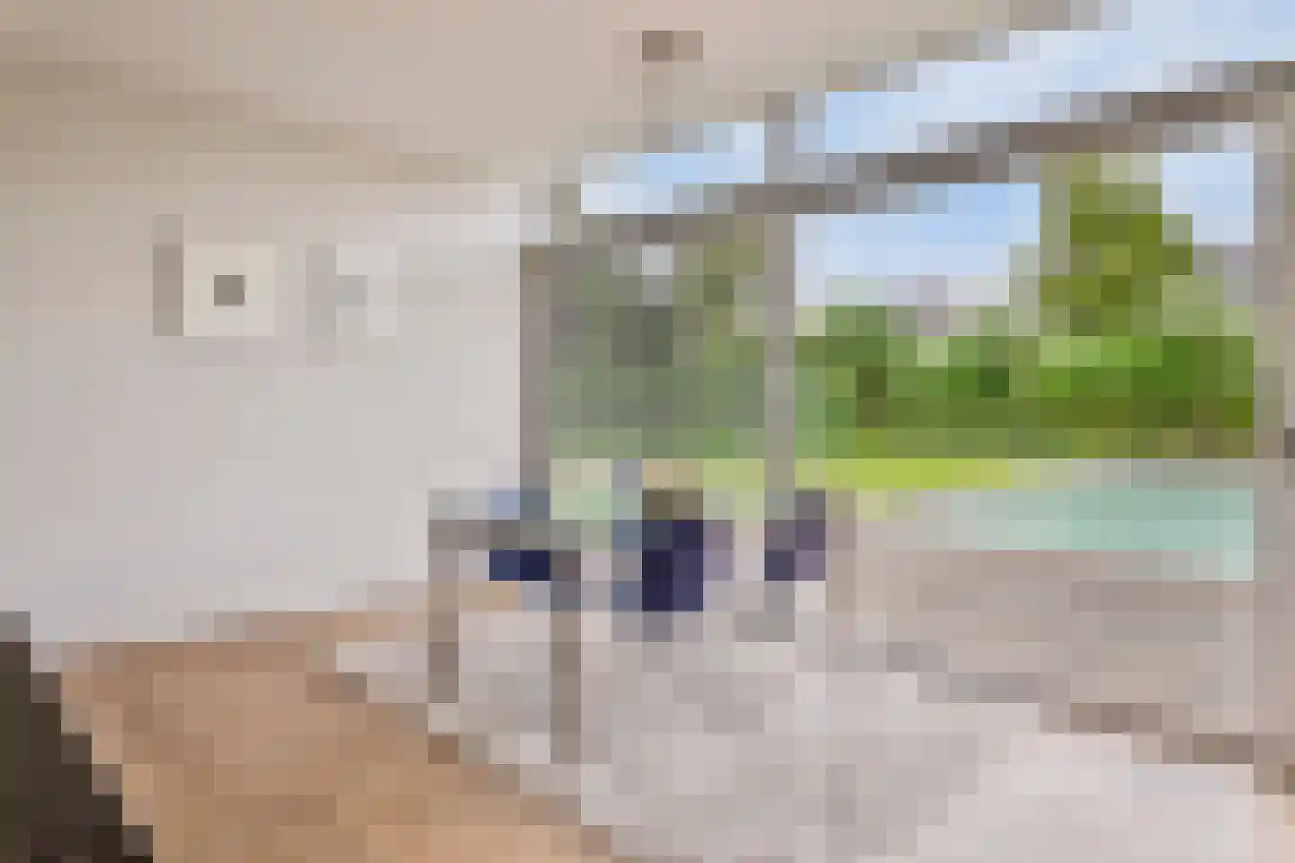 Willem Barentszlaan 12 Hulst thumbnail 18