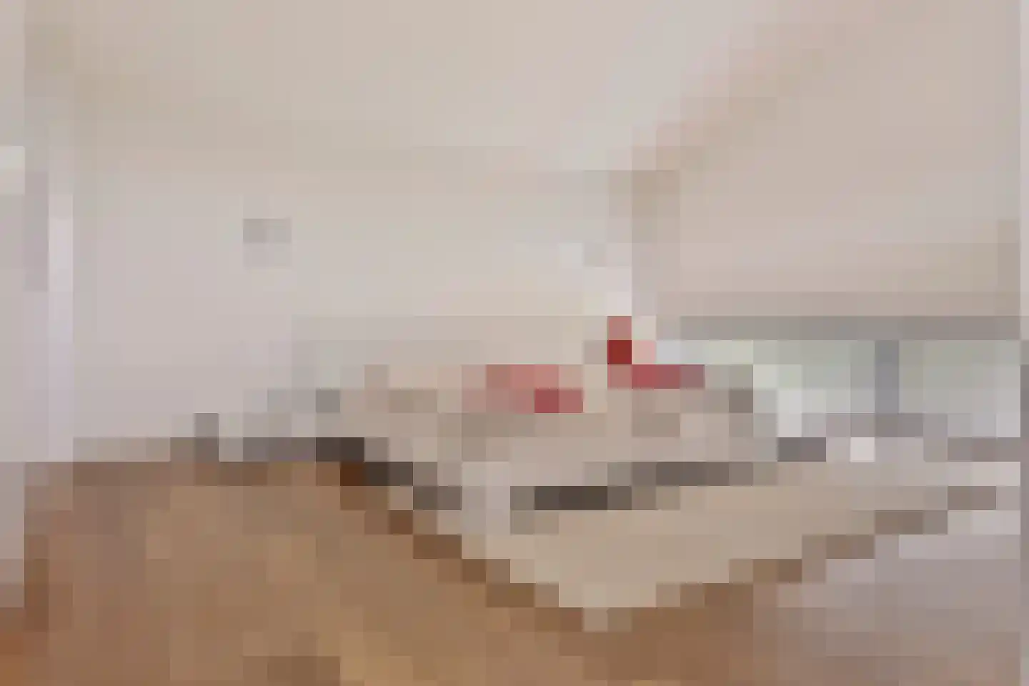 Willem Barentszlaan 12 Hulst thumbnail 21