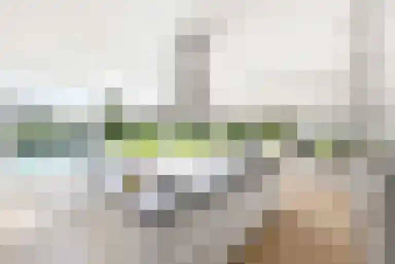Willem Barentszlaan 12 Hulst thumbnail 23