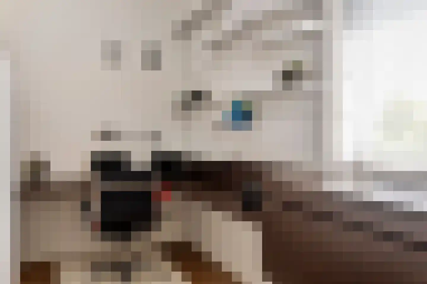 Willem Barentszlaan 12 Hulst thumbnail 23