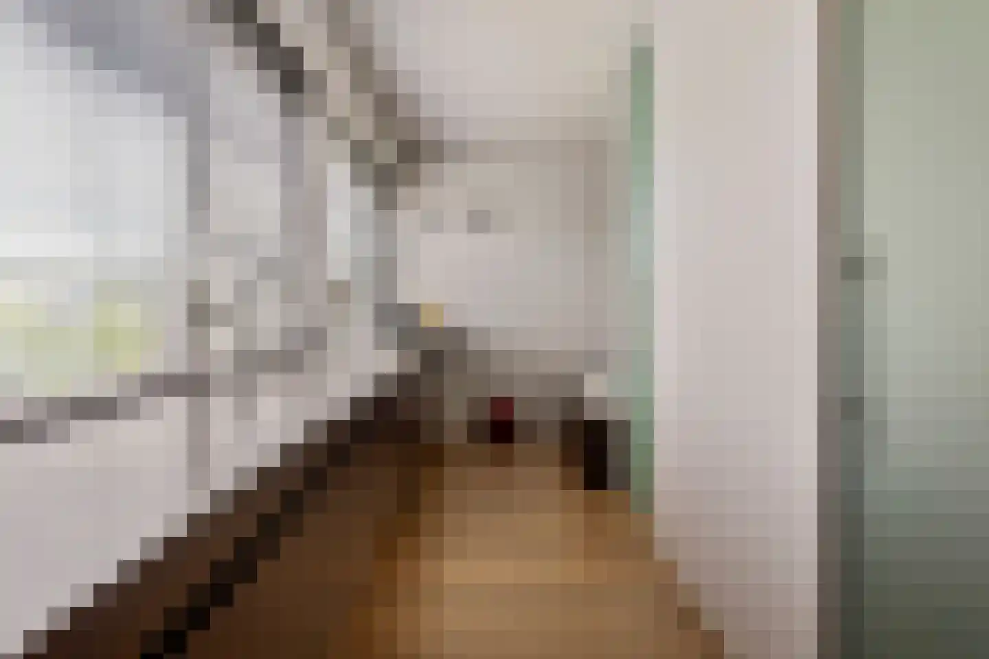 Willem Barentszlaan 12 Hulst thumbnail 24