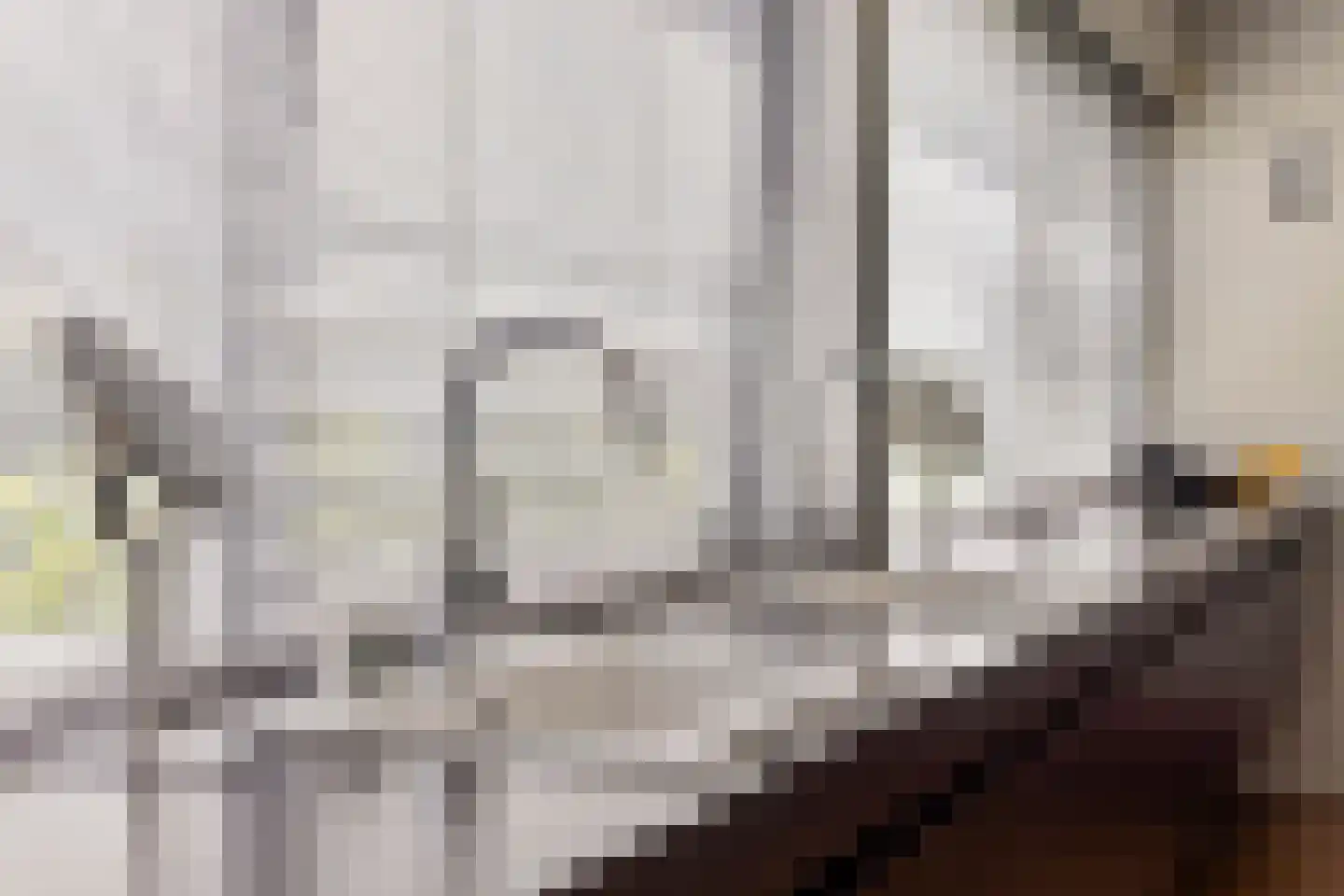 Willem Barentszlaan 12 Hulst thumbnail 25