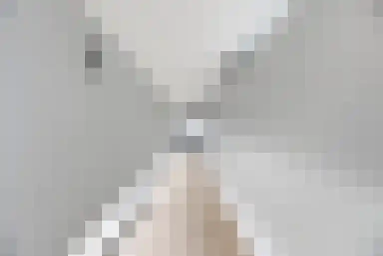 Willem Barentszlaan 12 Hulst thumbnail 30