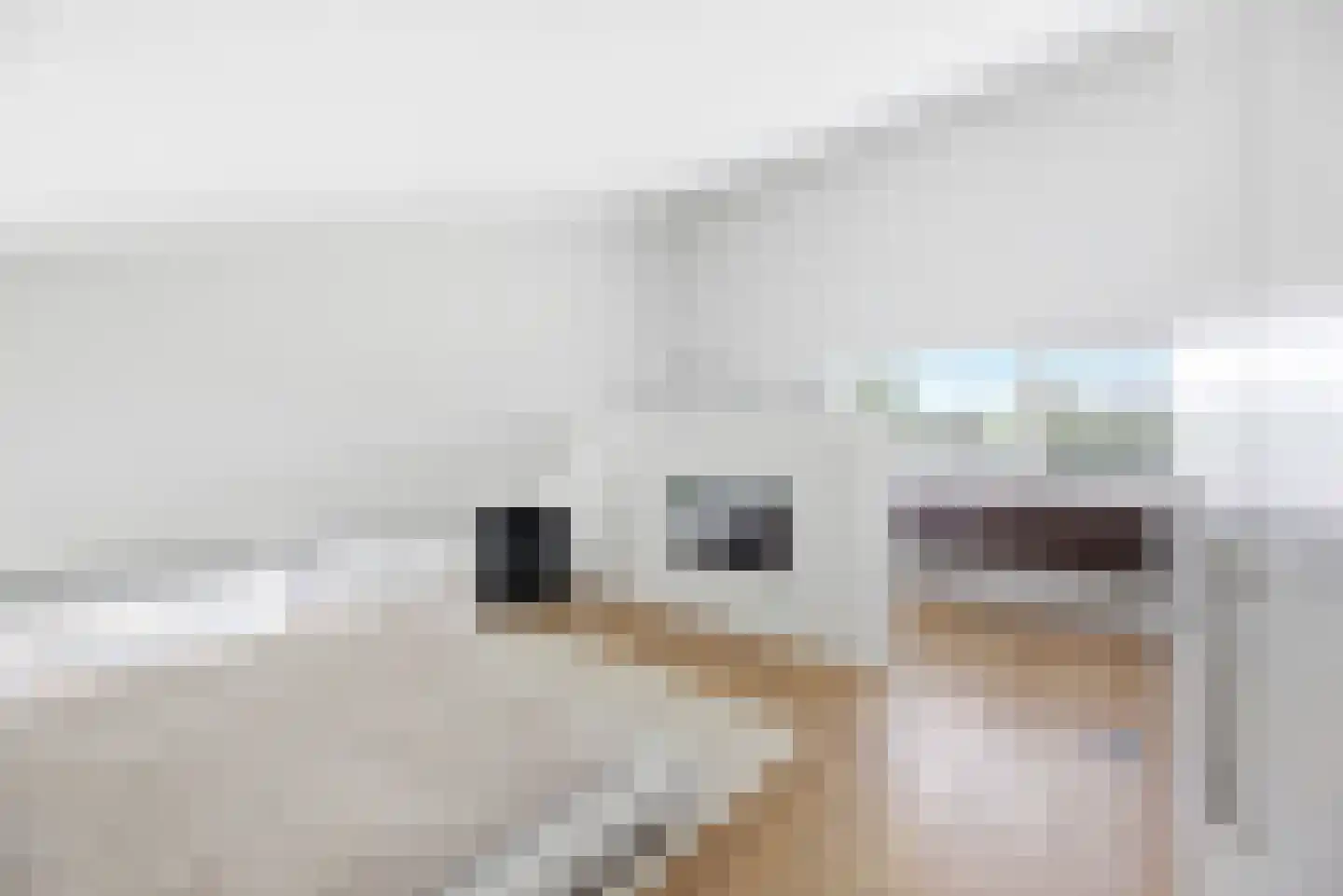 Willem Barentszlaan 12 Hulst thumbnail 34