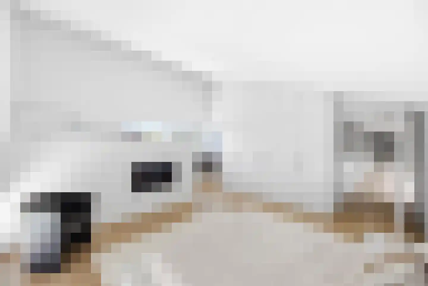 Willem Barentszlaan 12 Hulst thumbnail 35