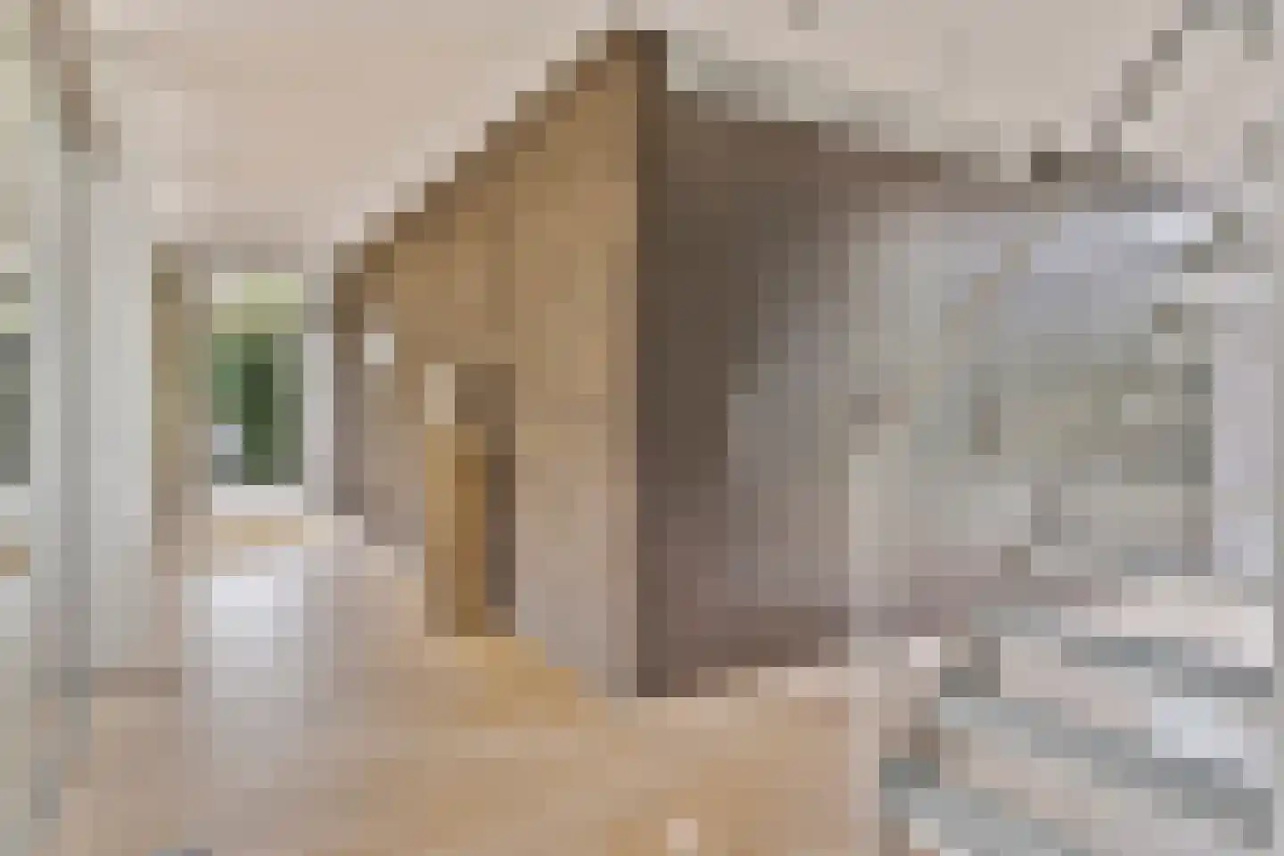 Willem Barentszlaan 12 Hulst thumbnail 5