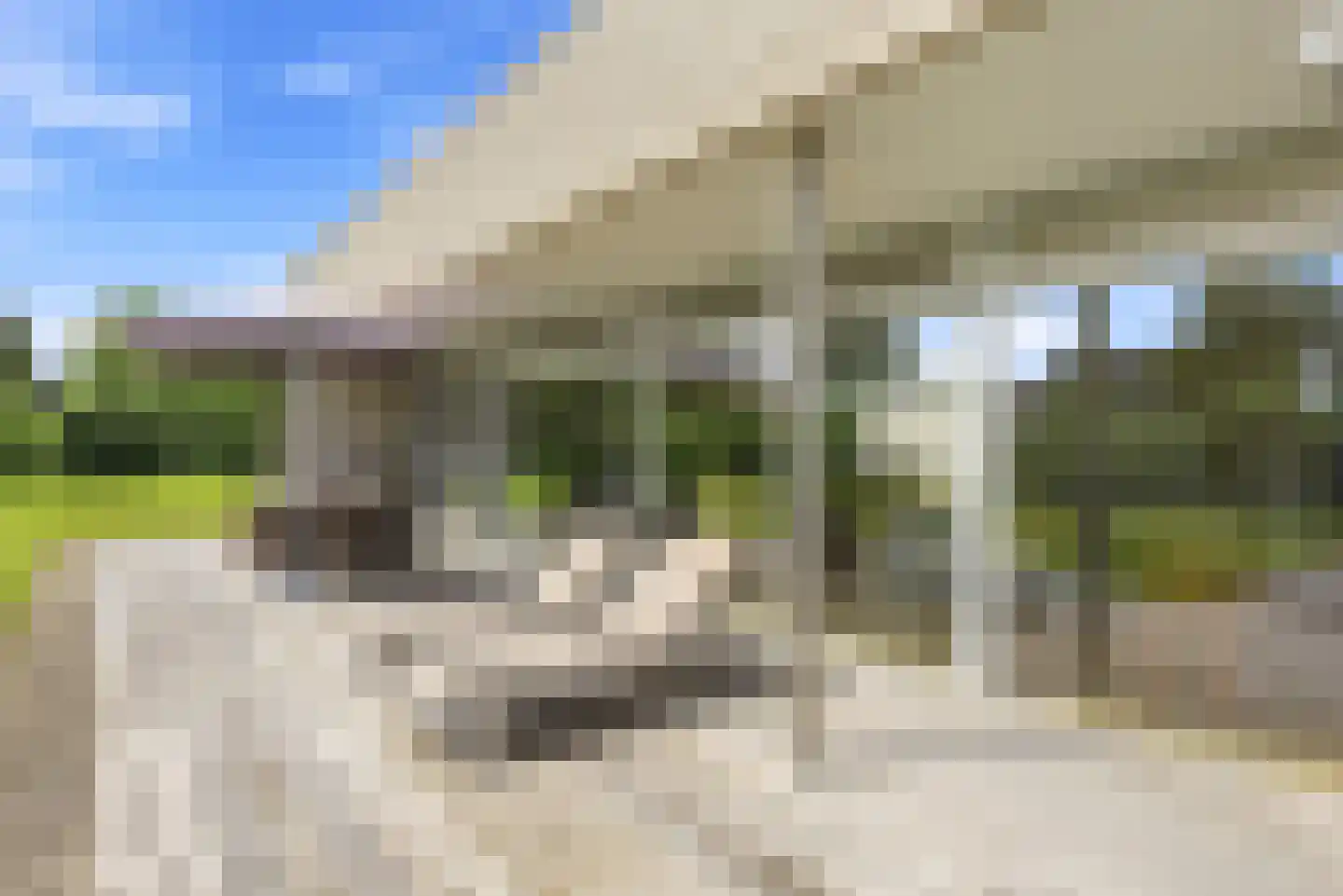 Willem Barentszlaan 12 Hulst thumbnail 59