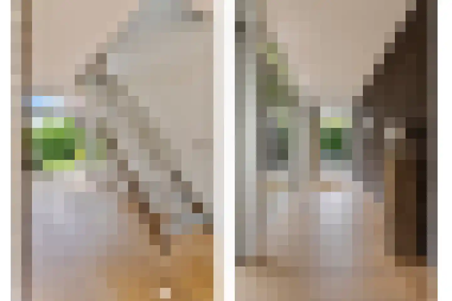 Willem Barentszlaan 12 Hulst thumbnail 6