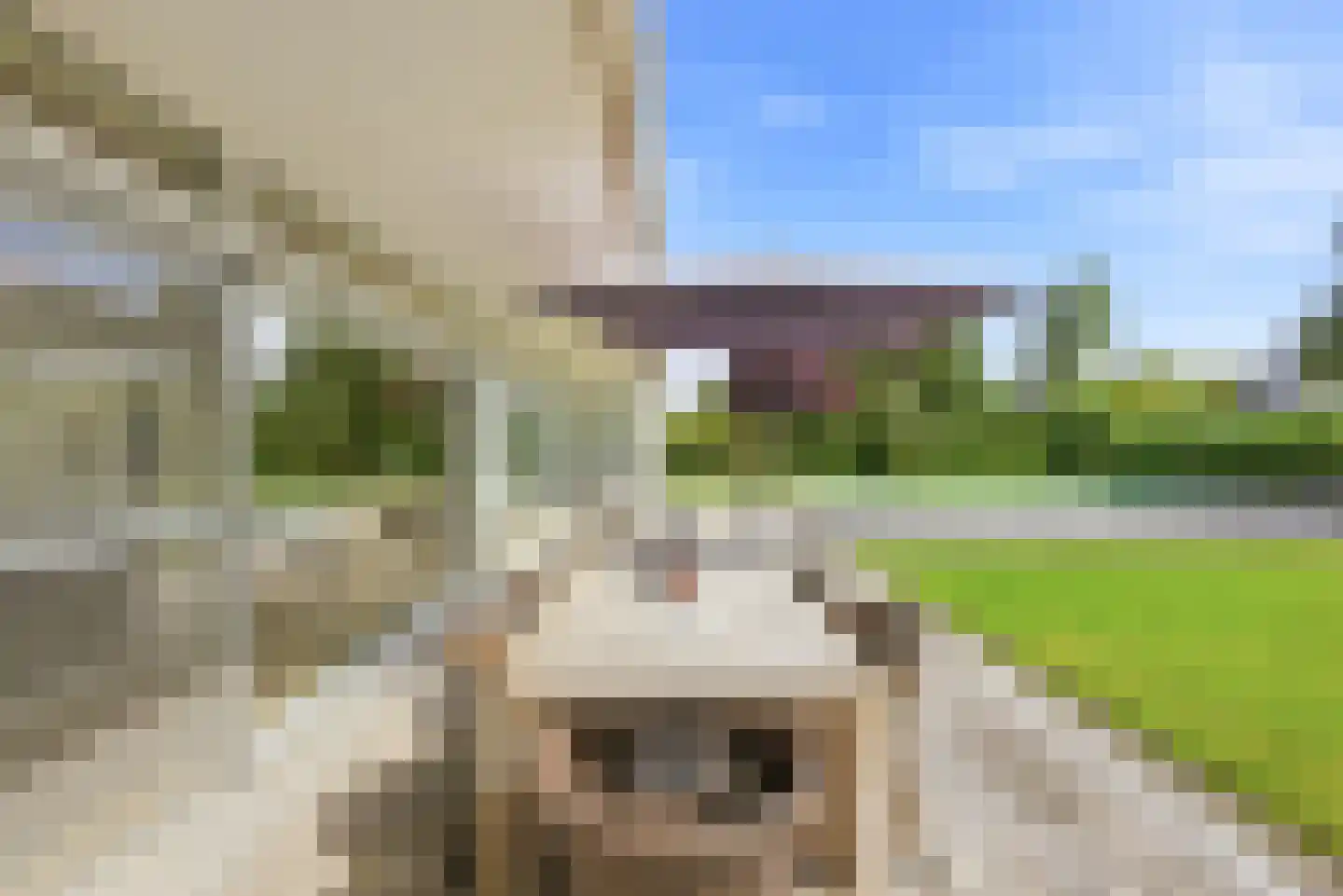 Willem Barentszlaan 12 Hulst thumbnail 61