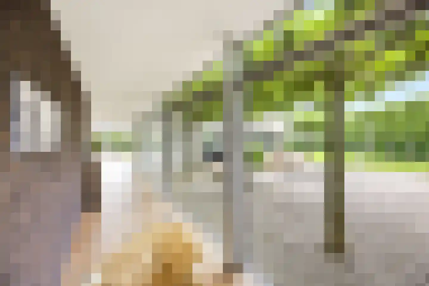 Willem Barentszlaan 12 Hulst thumbnail 9