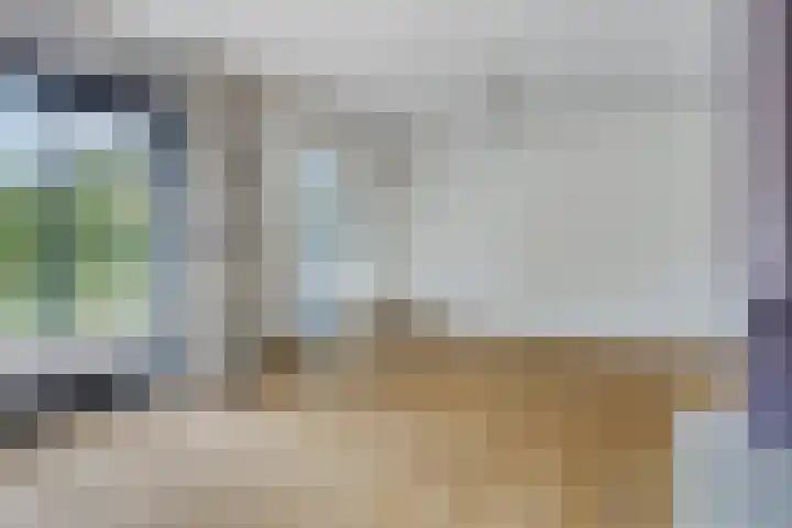 Willem Barentszlaan 5 Hulst thumbnail 10
