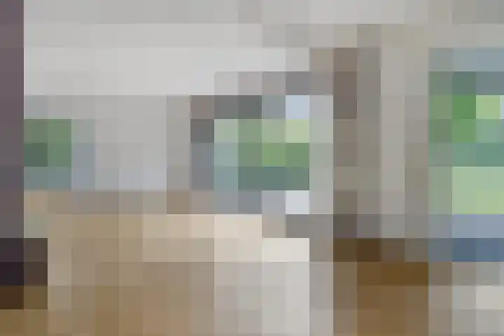 Willem Barentszlaan 5 Hulst thumbnail 11