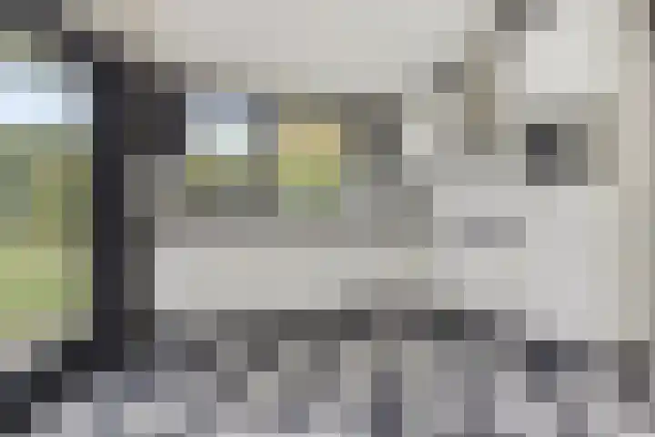 Willem Barentszlaan 5 Hulst thumbnail 14