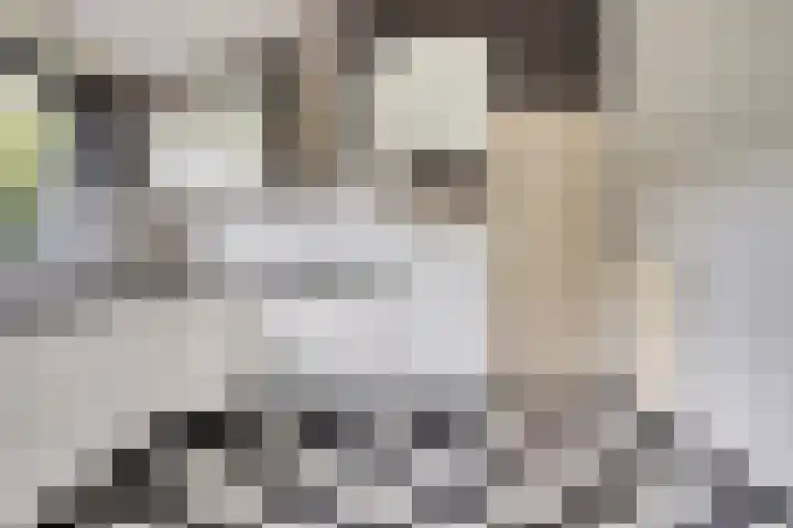 Willem Barentszlaan 5 Hulst thumbnail 15