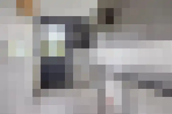 Willem Barentszlaan 5 Hulst thumbnail 17