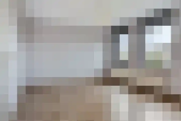 Willem Barentszlaan 5 Hulst thumbnail 20