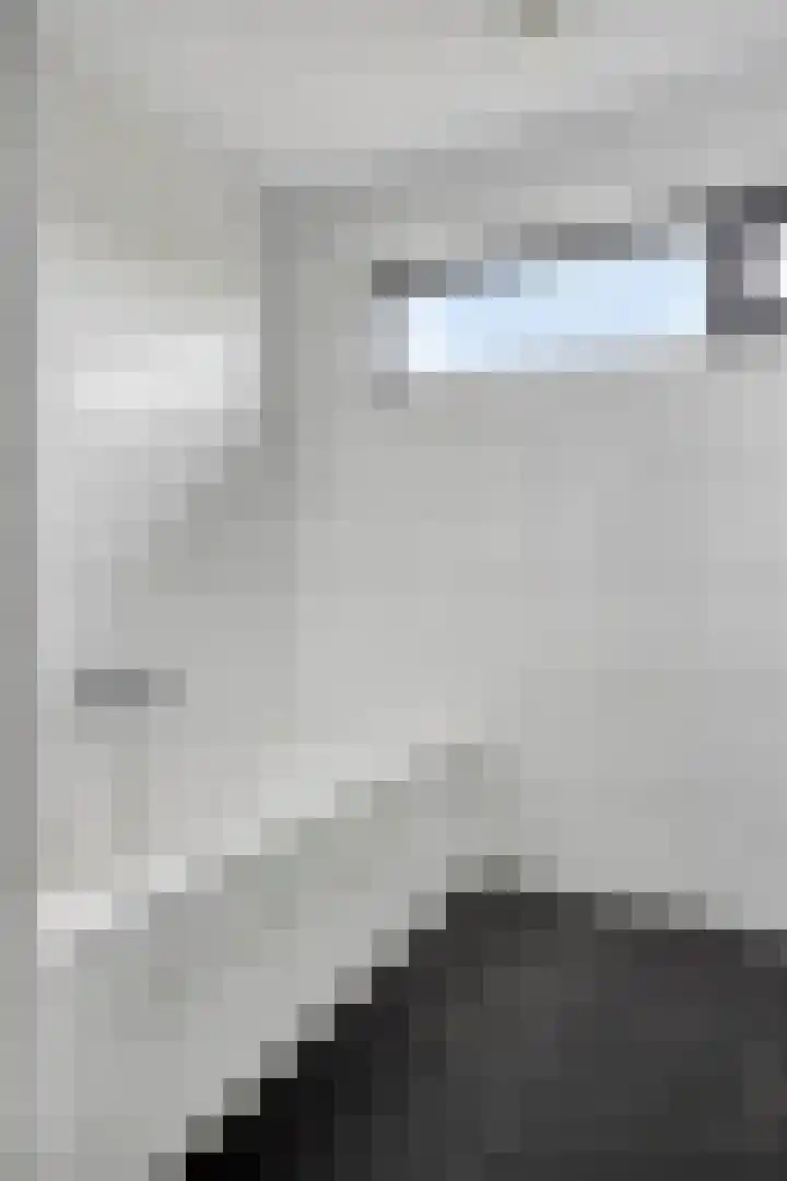 Willem Barentszlaan 5 Hulst thumbnail 23