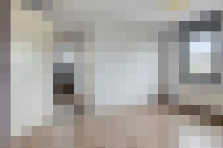 Willem Barentszlaan 5 Hulst thumbnail 28