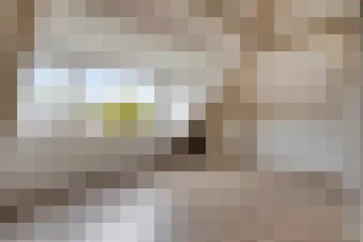 Willem Barentszlaan 5 Hulst thumbnail 34