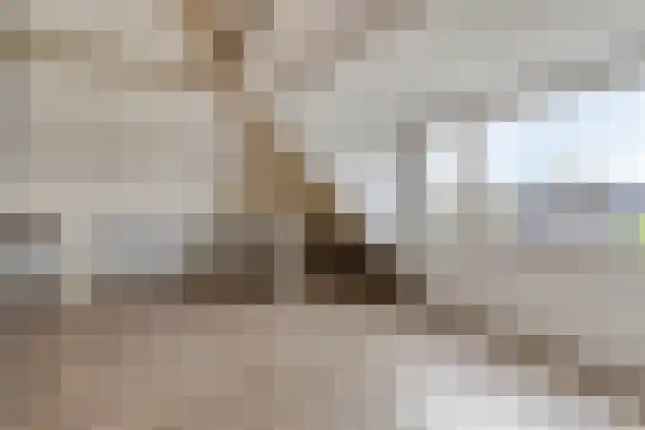 Willem Barentszlaan 5 Hulst thumbnail 35