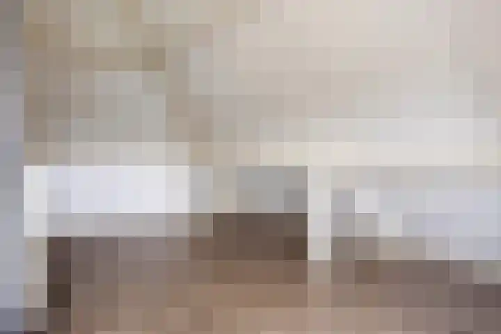 Willem Barentszlaan 5 Hulst thumbnail 36