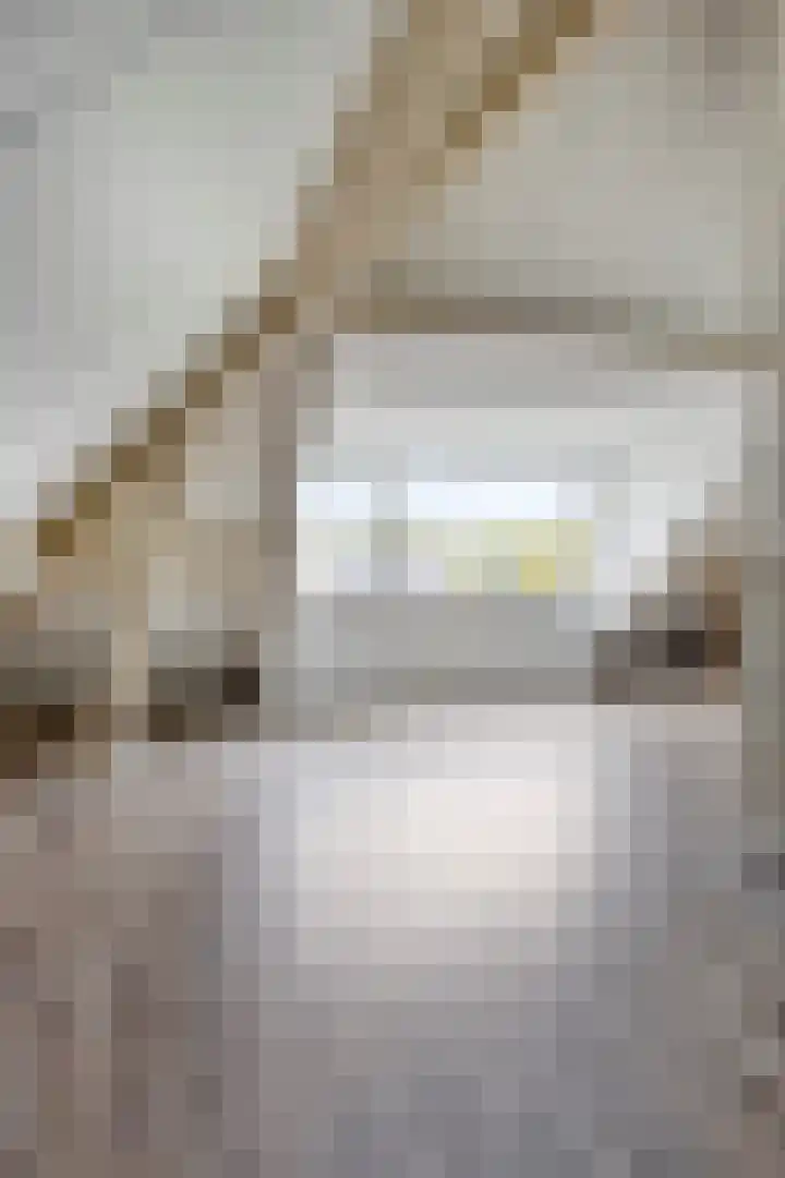 Willem Barentszlaan 5 Hulst thumbnail 37