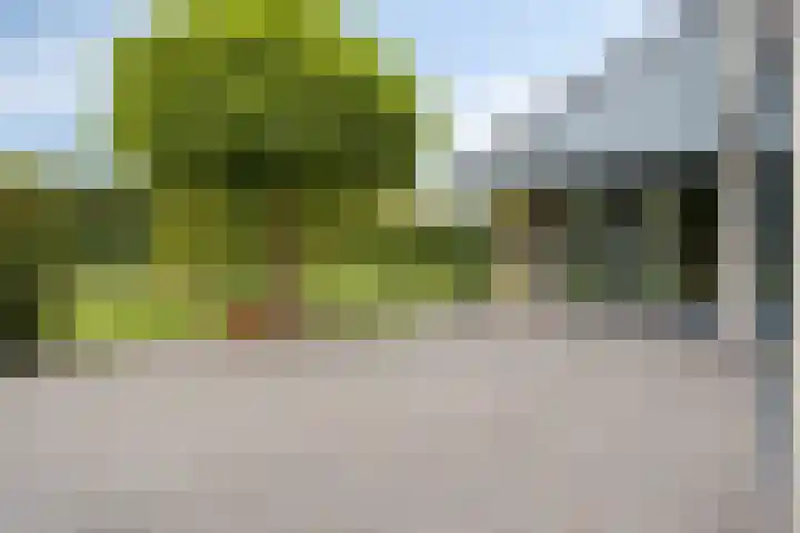 Willem Barentszlaan 5 Hulst thumbnail 38