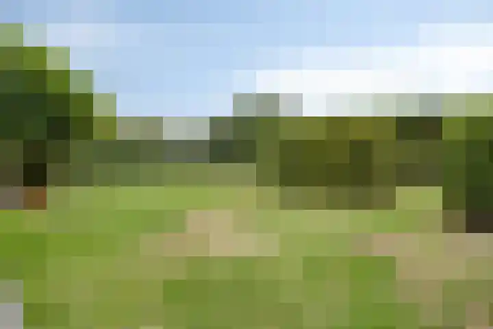 Willem Barentszlaan 5 Hulst thumbnail 39