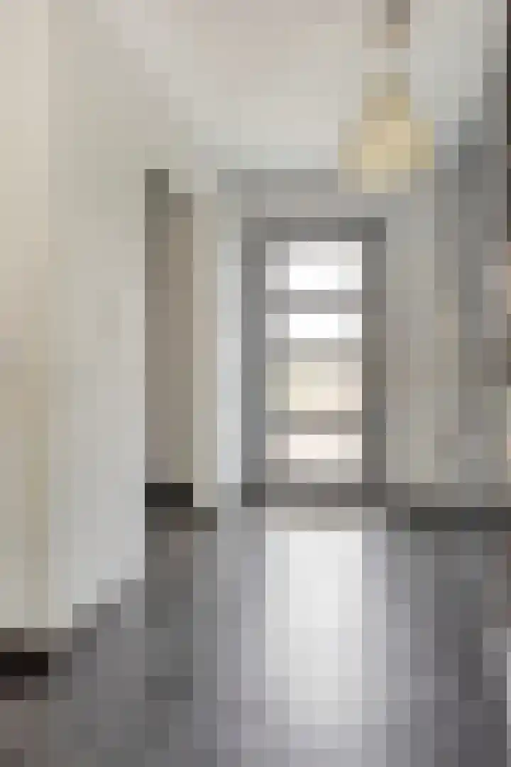 Willem Barentszlaan 5 Hulst thumbnail 4