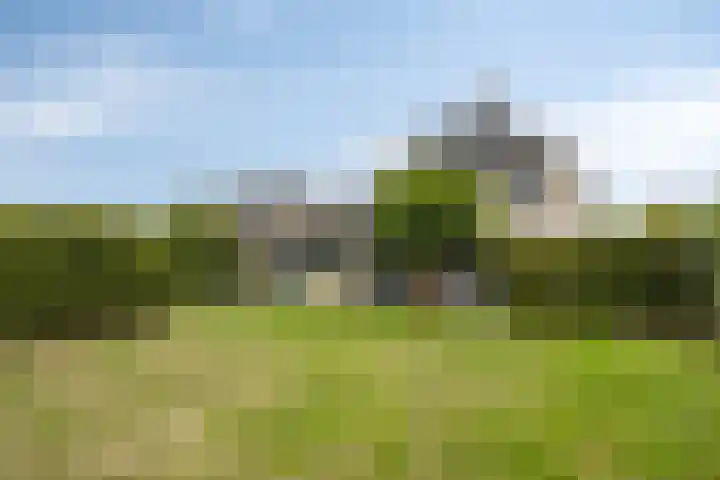 Willem Barentszlaan 5 Hulst thumbnail 40