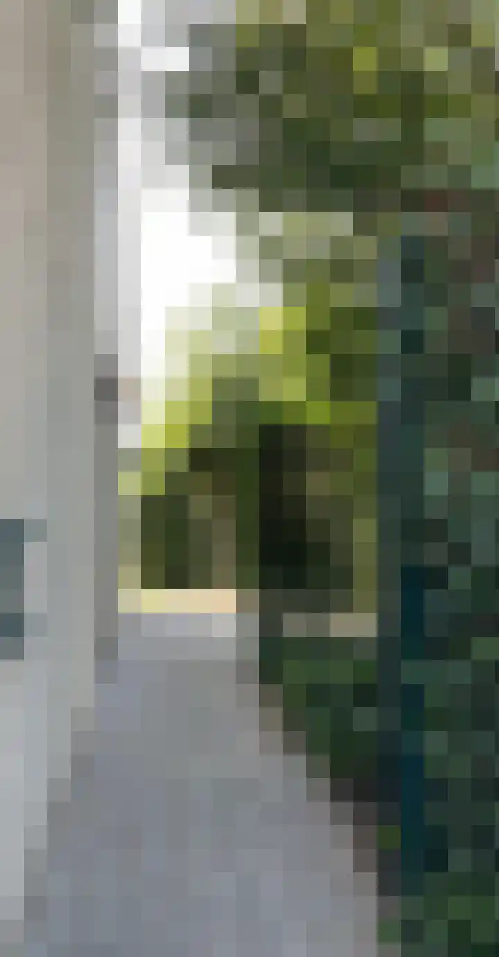 Willem Barentszlaan 5 Hulst thumbnail 42