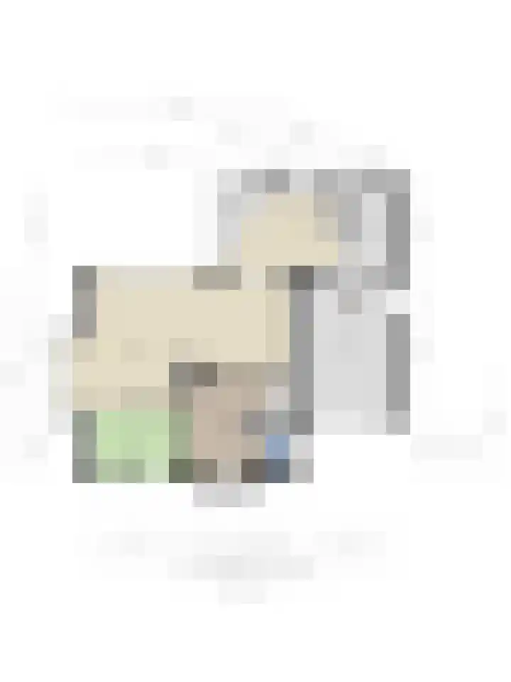 Willem Barentszlaan 5 Hulst thumbnail 43