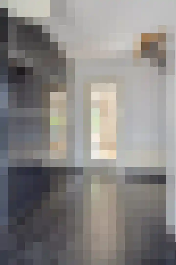Willem Barentszlaan 5 Hulst thumbnail 5