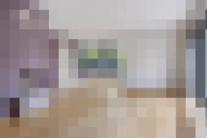 Willem Barentszlaan 5 Hulst thumbnail 8