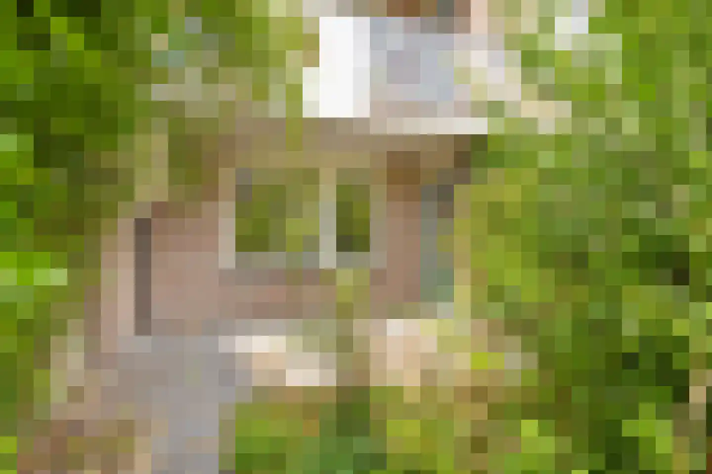 Willem Barentszlaan 6 Baarn thumbnail 23