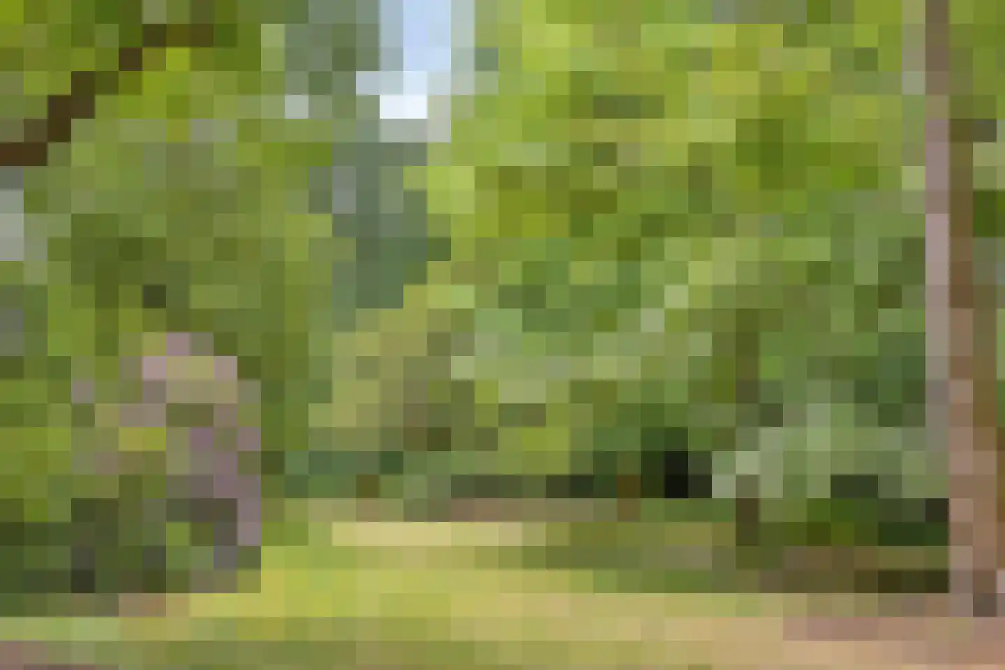 Willem Barentszlaan 6 Baarn thumbnail 26