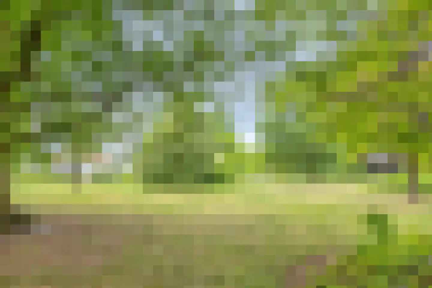 Willem Barentszlaan 6 Baarn thumbnail 27
