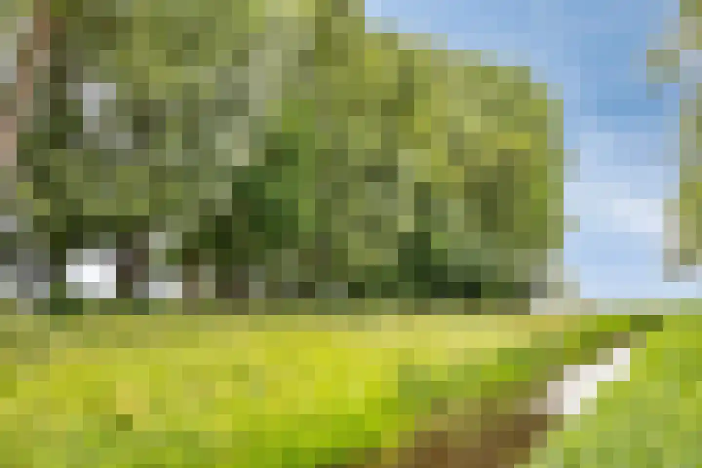Willem Barentszlaan 6 Baarn thumbnail 28