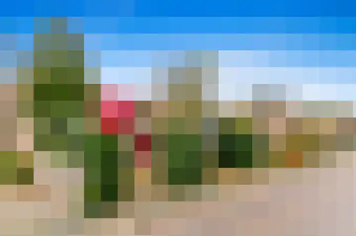 Willem Barentszlaan 67 Voorschoten thumbnail 41