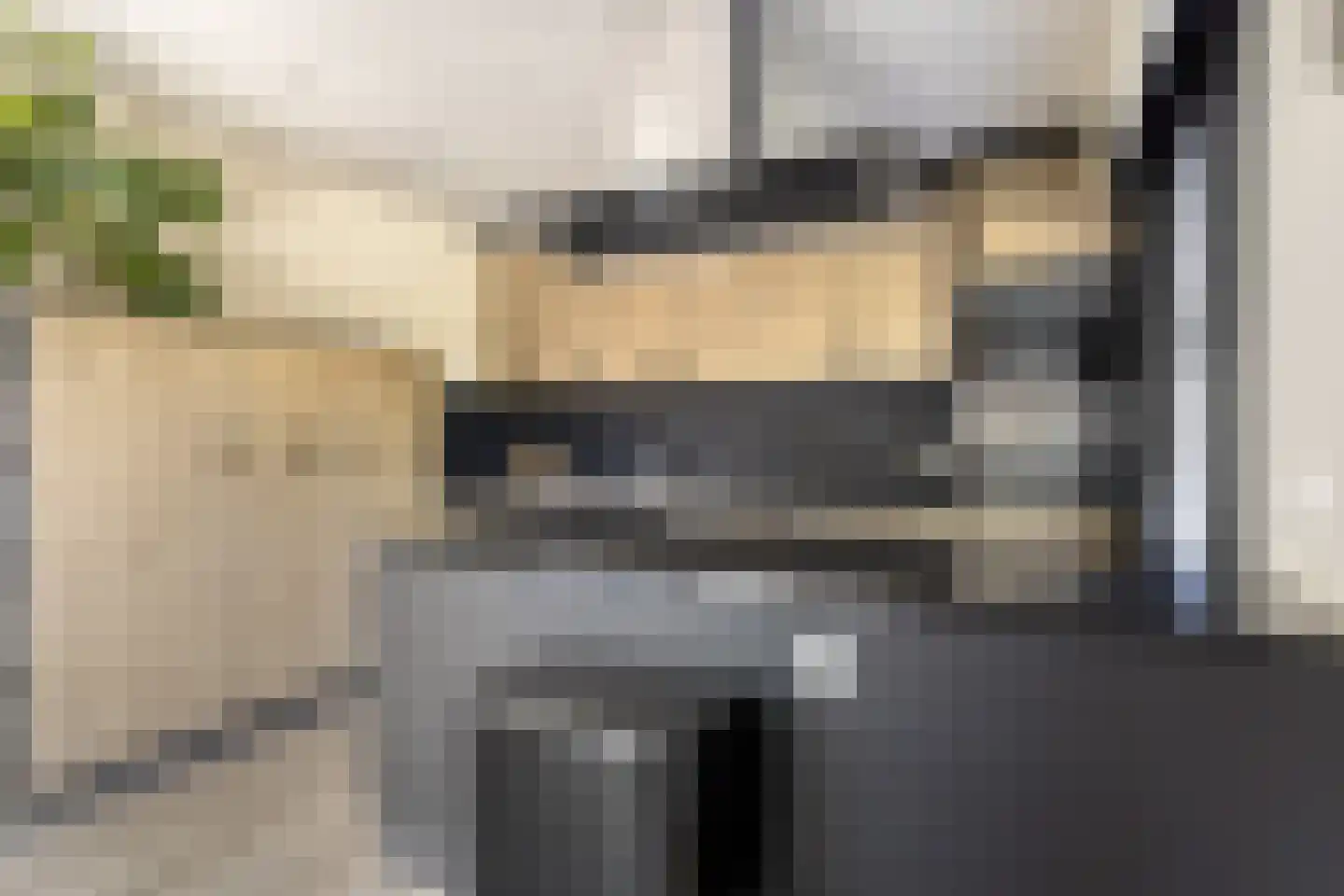 Willem Barentszlaan 8 Hulst thumbnail 15
