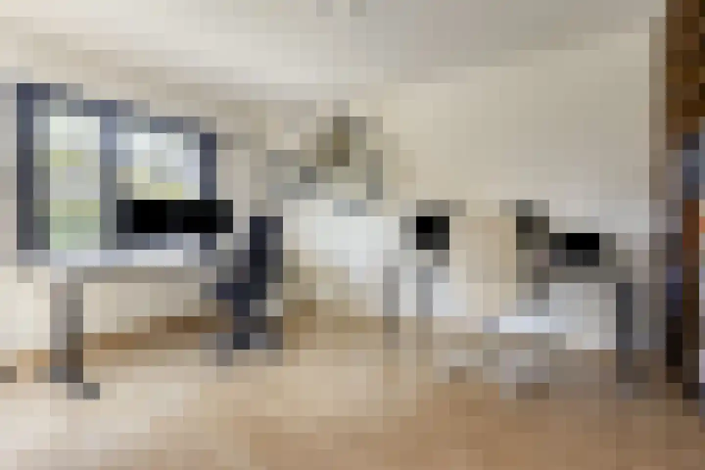 Willem Barentszlaan 8 Hulst thumbnail 17